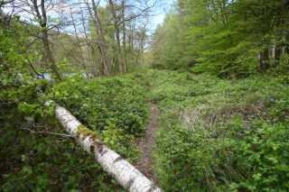 DSC_3849.JPG