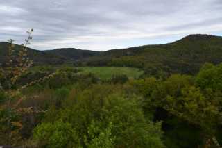 DSC_3870.JPG
