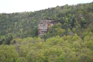 DSC_3871.JPG