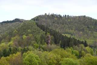 DSC_3880.JPG