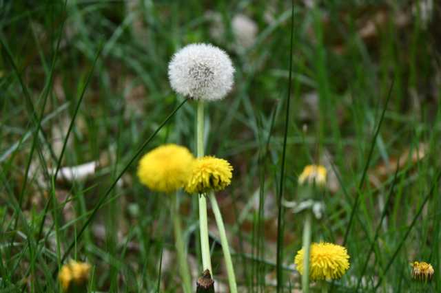 DSC_3853.JPG