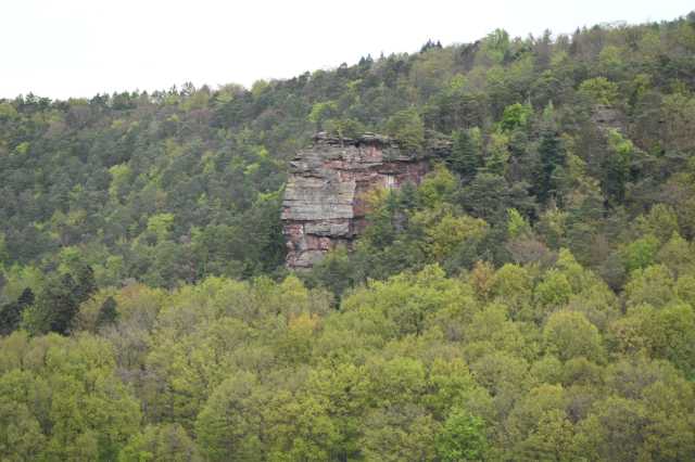 DSC_3871.JPG
