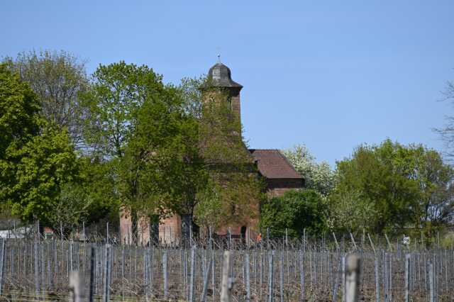 DSC_3787.JPG