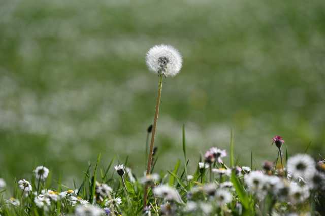 DSC_3798.JPG