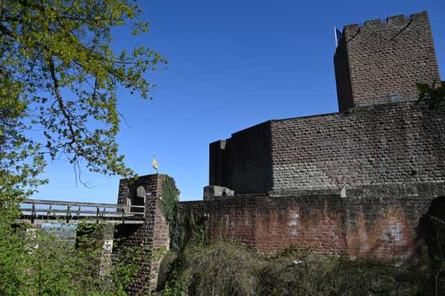 DSC_3805.JPG