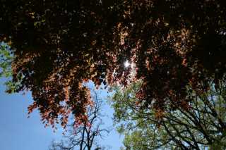 DSC_3925.JPG