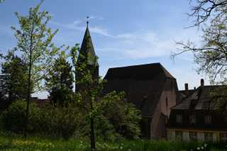 DSC_3928.JPG