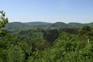 DSC_4004.JPG
