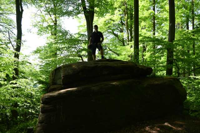 DSC_3996.JPG