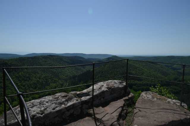 DSC_4026.JPG
