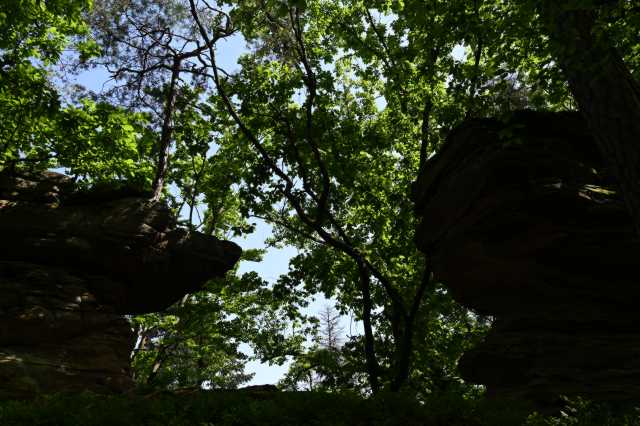 DSC_4064.JPG