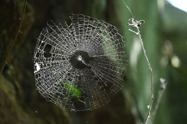 DSC_4069.JPG