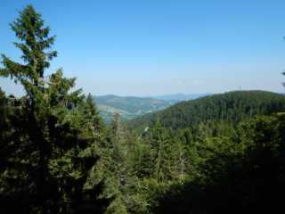 DSCN9650.JPG
