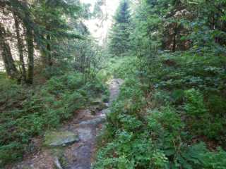 DSCN9660.JPG