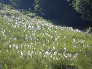 DSCN9669.JPG