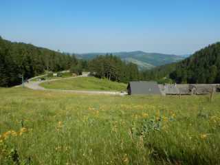 DSCN9670.JPG