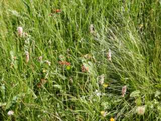 DSCN9679.JPG