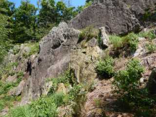 DSCN9681.JPG