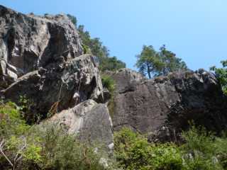 DSCN9684.JPG