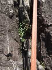 DSCN9705.JPG