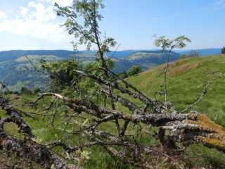 DSCN9730.JPG