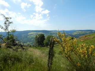 DSCN9732.JPG