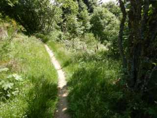DSCN9736.JPG