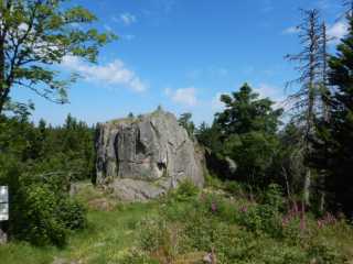 DSCN9739.JPG