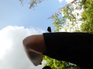 DSCN9755.JPG