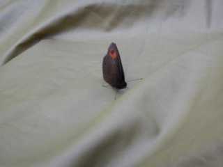 DSCN9764.JPG