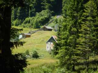 DSCN9769.JPG