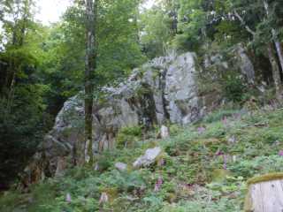 DSCN9776.JPG