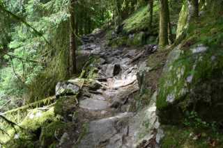 DSC_4190.JPG