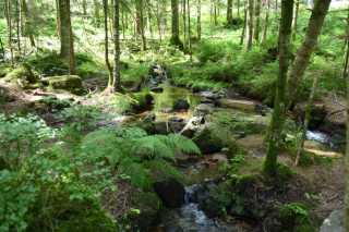 DSC_4223.JPG