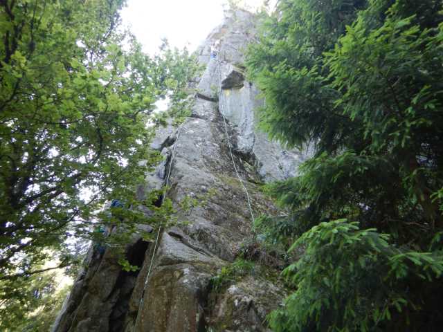 DSCN9647.JPG