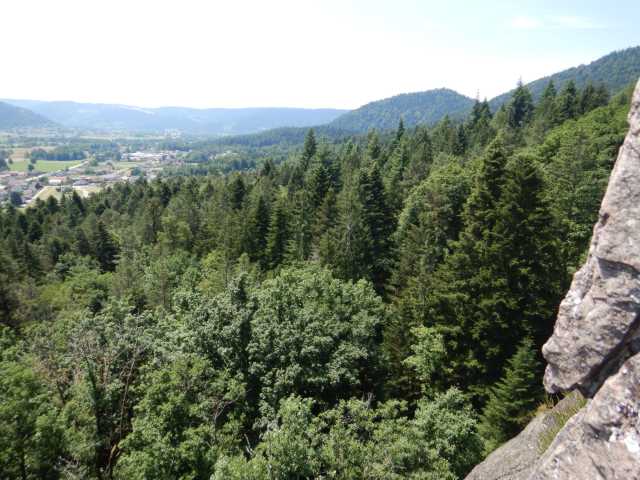 DSCN9686.JPG