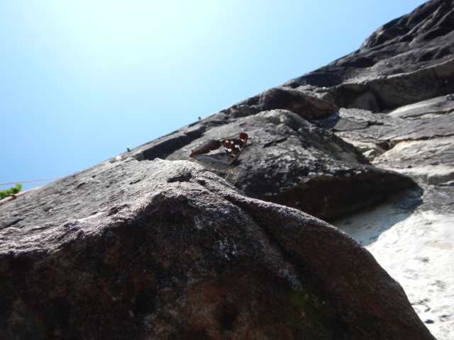 DSCN9699.JPG