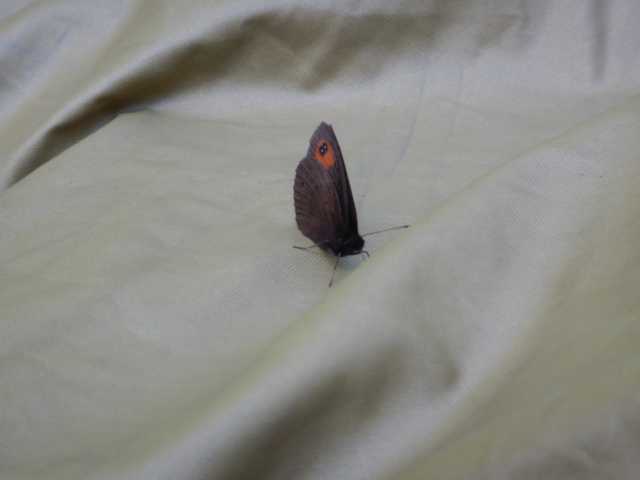 DSCN9764.JPG