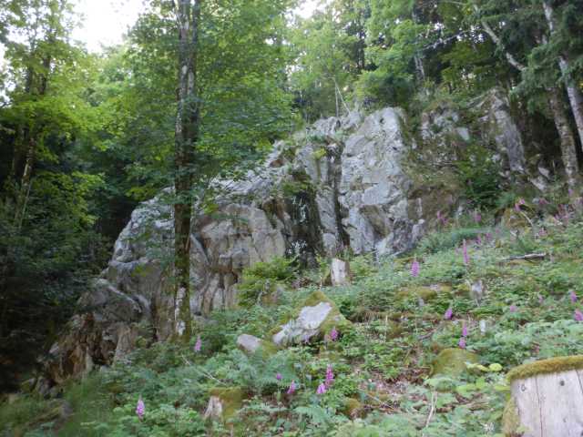 DSCN9776.JPG