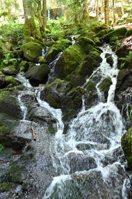 DSC_4253.JPG