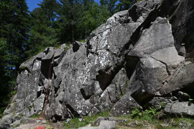 DSC_4262.JPG