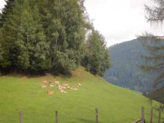 DSCN0126.JPG