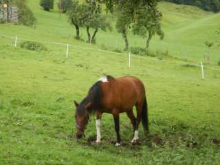 DSCN0138.JPG