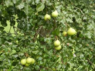 DSCN0141.JPG