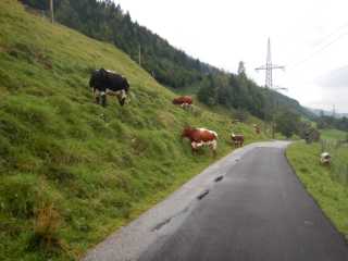 DSCN0155.JPG