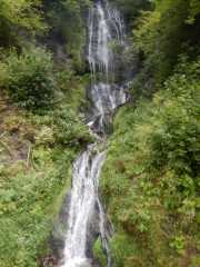 DSCN0195.JPG