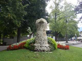 DSCN0220.JPG