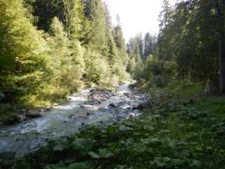 DSCN0317.JPG