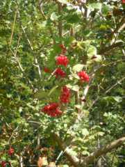 DSCN0334.JPG