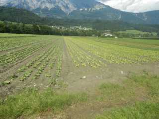 DSCN0384.JPG